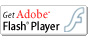Adobe Flash Player